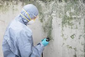 Best Crawl Space Mold Remediation  in Randolph, NE